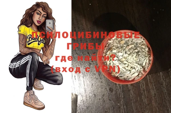 сатива Абаза