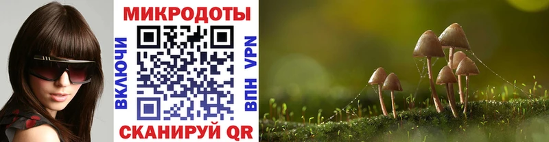 darknet телеграм  omg вход  Партизанск  Галлюциногенные грибы GOLDEN TEACHER 