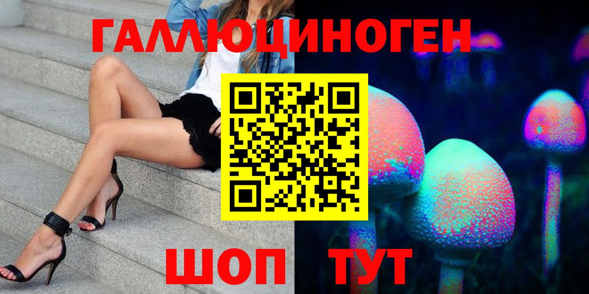 Галлюциногенные грибы Psilocybine cubensis Партизанск